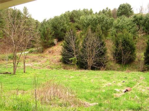142 Ivan Trivett Rd, Vilas, NC 28692 photo 20