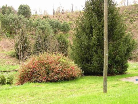 142 Ivan Trivett Rd, Vilas, NC 28692 photo 23