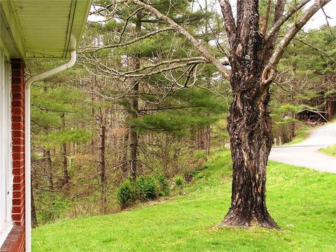 142 Ivan Trivett Rd, Vilas, NC 28692 photo 19