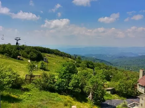 106 Beechtop Rd, Beech Mountain, NC 28604 photo 12