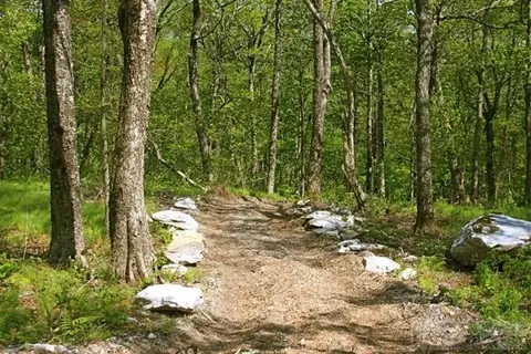 tbd Cloud Springs Dr, Sugar Mountain, NC 28604 photo 13