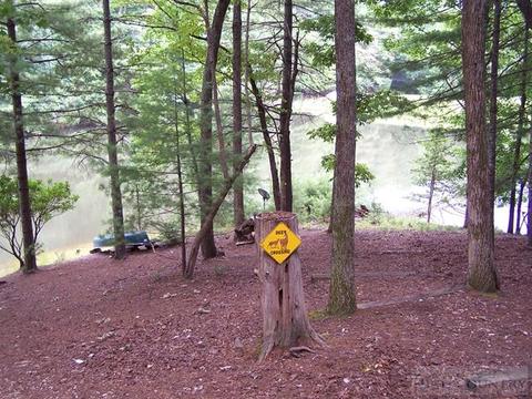 355 Trout Lake Rd, Deep Gap, NC 28618 photo 37