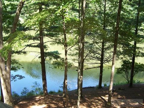 355 Trout Lake Rd, Deep Gap, NC 28618 photo 8