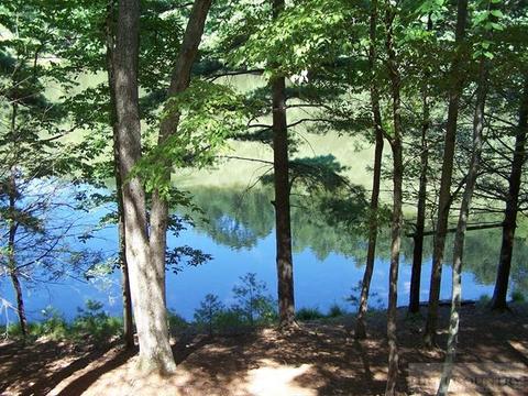 355 Trout Lake Rd, Deep Gap, NC 28618 photo 15
