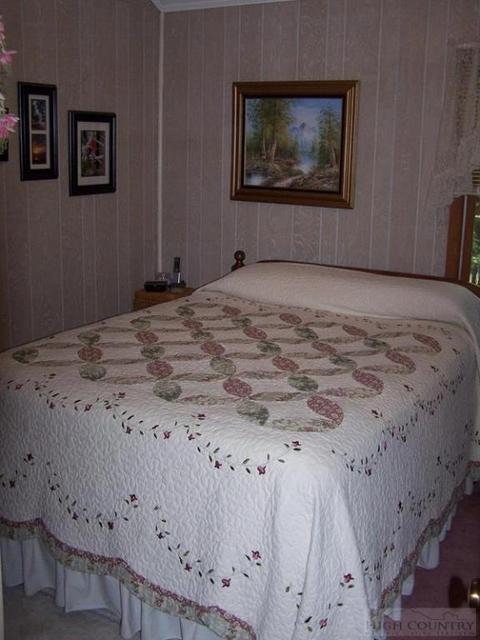 355 Trout Lake Rd, Deep Gap, NC 28618 photo 4