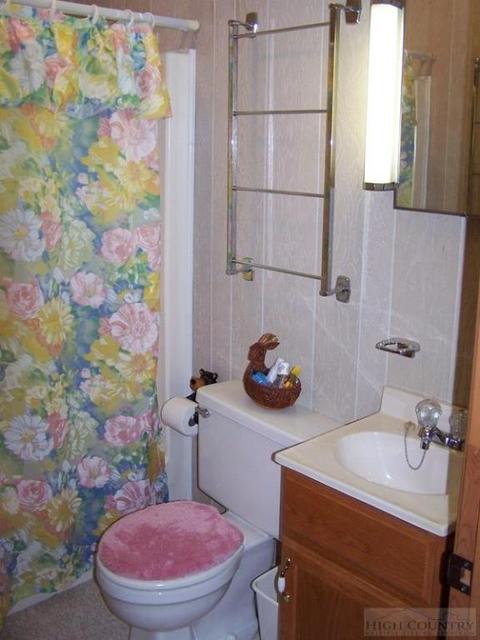 355 Trout Lake Rd, Deep Gap, NC 28618 photo 25