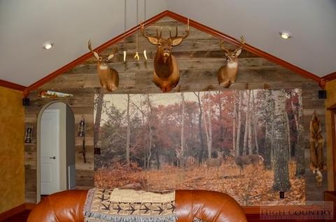969 Bill Cooper Rd, Crumpler, NC 28617 photo 9