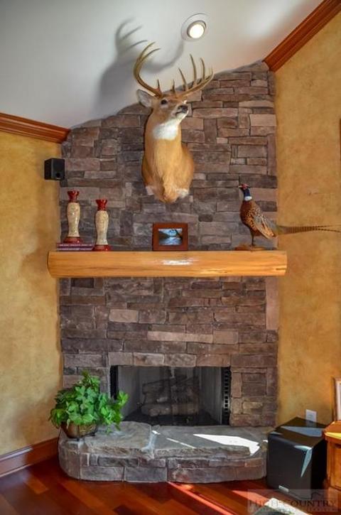969 Bill Cooper Rd, Crumpler, NC 28617 photo 8