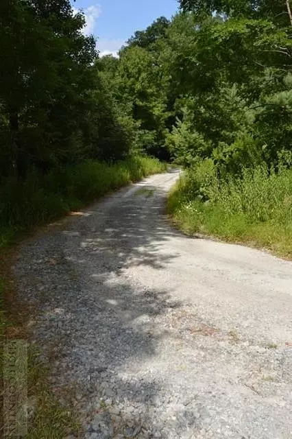 199 Ashely Woods Dr, Boone, NC 28607 photo 6