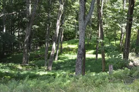 199 Ashely Woods Dr, Boone, NC 28607 photo 3
