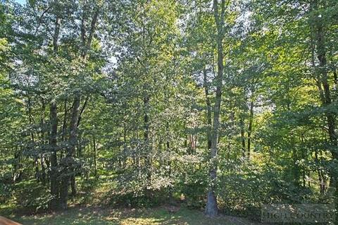3551 Old Highway 421, Boone, NC 28607 photo 11
