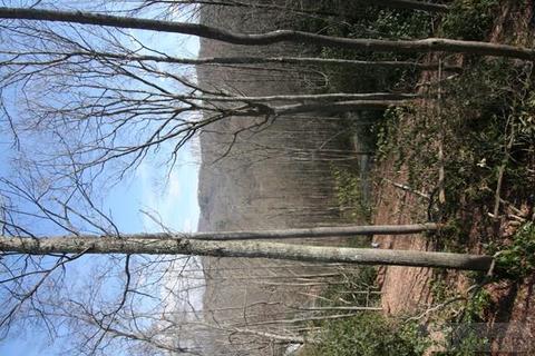 176 Houndstooth, Boone, NC 28607 photo 5