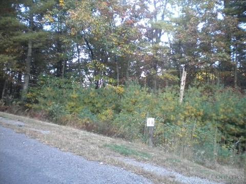 Lot 11 Pine Chase, Glade Valley, NC 28627