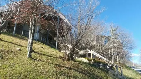 115 Skiloft Rd, Beech Mountain, NC 28604 photo 6