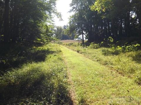 554 Sally Rd, Sparta, NC 28675 photo 20
