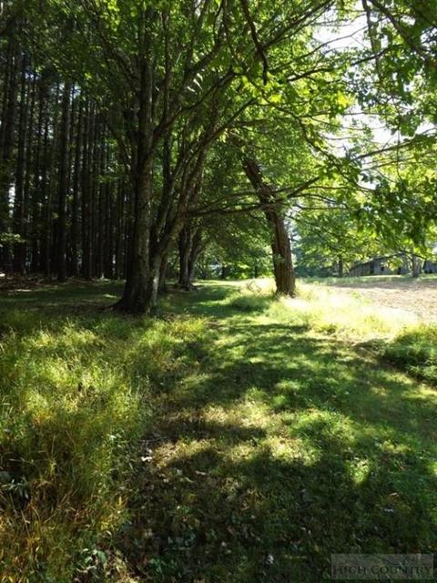 554 Sally Rd, Sparta, NC 28675 photo 21