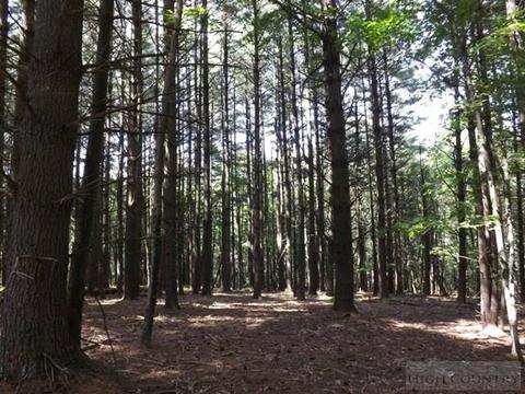 554 Sally Rd, Sparta, NC 28675 photo 16