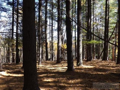 554 Sally Rd, Sparta, NC 28675 photo 23