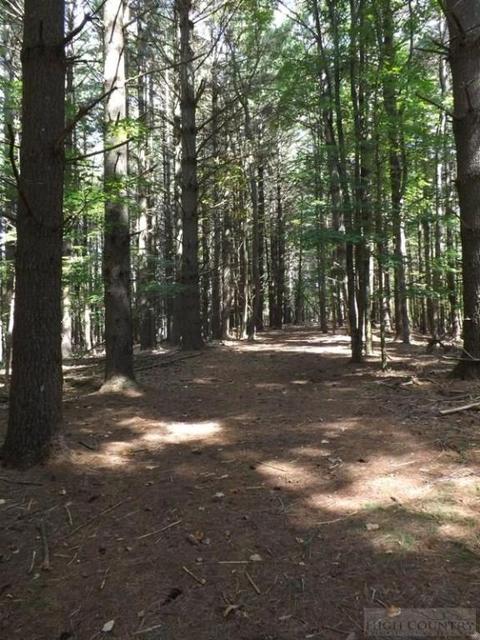 554 Sally Rd, Sparta, NC 28675 photo 15