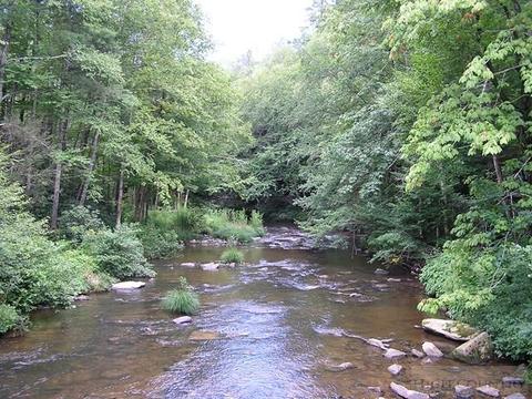 182 Pine Loop, Newland, NC 28657 photo 19
