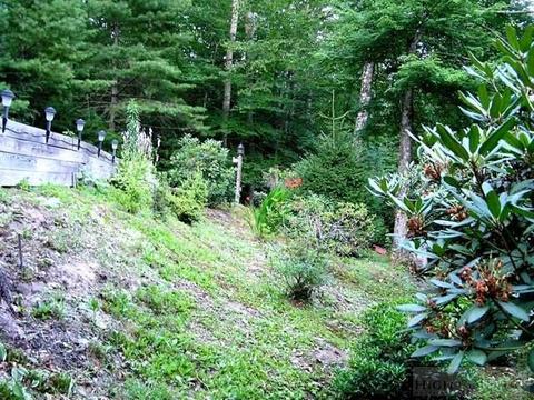 182 Pine Loop, Newland, NC 28657 photo 10
