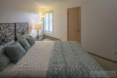 161 Skyleaf Dr #E-11, Sugar Mountain, NC 28604 photo 4