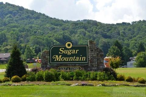 161 Skyleaf Dr #E-11, Sugar Mountain, NC 28604 photo 7