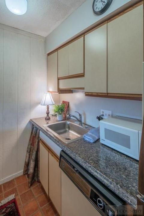 161 Skyleaf Dr #E-11, Sugar Mountain, NC 28604 photo 19