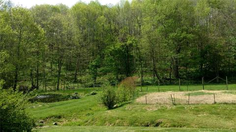 409 Pt Dr, Creston, NC 28615 photo 32
