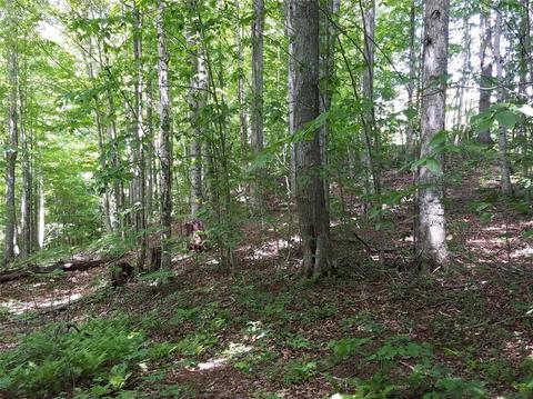 409 Pt Dr, Creston, NC 28615 photo 36