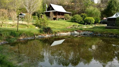 409 Pt Dr, Creston, NC 28615 photo 1