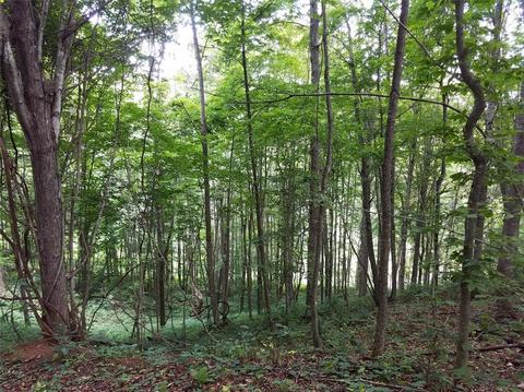 409 Pt Dr, Creston, NC 28615 photo 37
