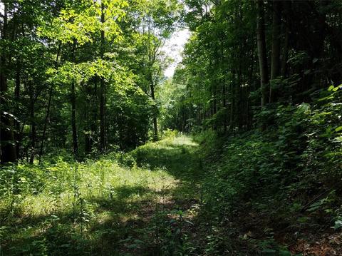 409 Pt Dr, Creston, NC 28615 photo 35