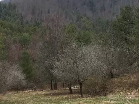 697 Coy Ham Rd, Lansing, NC 28643 photo 23