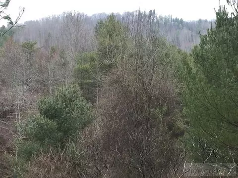 697 Coy Ham Rd, Lansing, NC 28643 photo 22