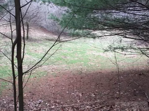697 Coy Ham Rd, Lansing, NC 28643 photo 27