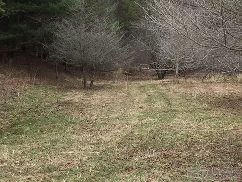 697 Coy Ham Rd, Lansing, NC 28643 photo 30