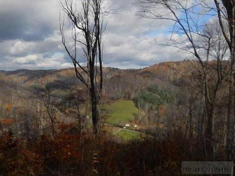 1427 Roundabout Rd, Creston, NC 28615 photo 2