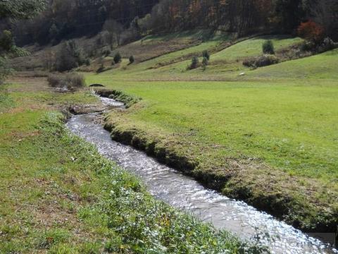 1427 Roundabout Rd, Creston, NC 28615 photo 30