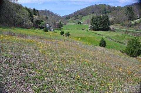 1427 Roundabout Rd, Creston, NC 28615 photo 9