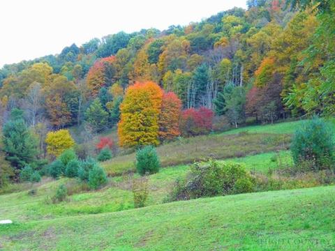 1427 Roundabout Rd, Creston, NC 28615 photo 25