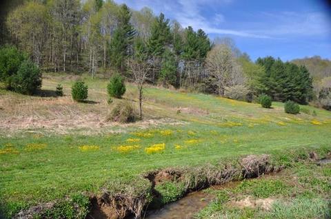 1427 Roundabout Rd, Creston, NC 28615 photo 7