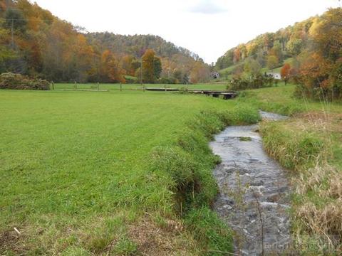 1427 Roundabout Rd, Creston, NC 28615 photo 27