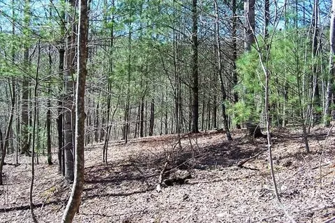 1360 Pumpkin Run Rd, Purlear, NC 28665 photo 19