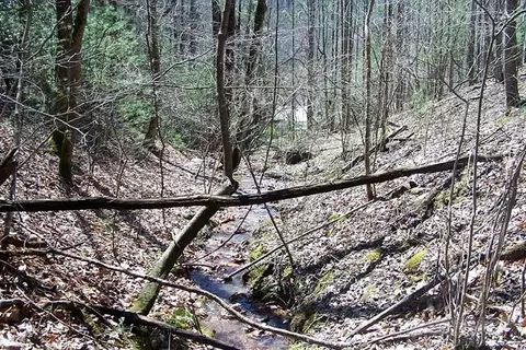 1360 Pumpkin Run Rd, Purlear, NC 28665 photo 5