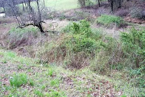 1360 Pumpkin Run Rd, Purlear, NC 28665 photo 4