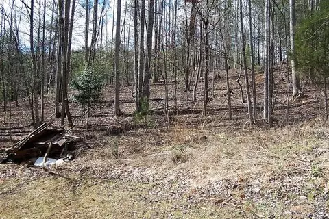 1360 Pumpkin Run Rd, Purlear, NC 28665 photo 28