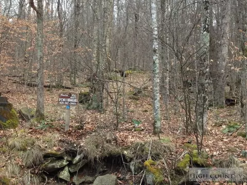 123 Upper Snowbird Clb, Beech Mountain, NC 28604 photo 3