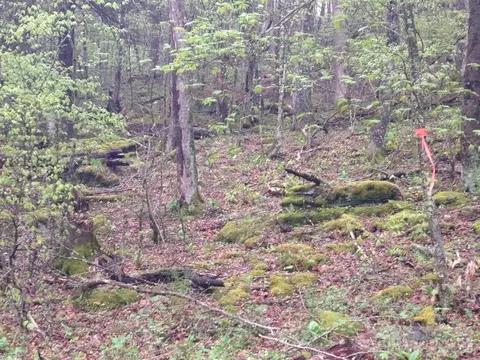 123 Upper Snowbird Clb, Beech Mountain, NC 28604 photo 6
