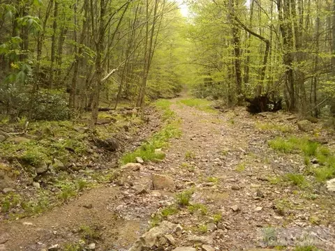 111 Wild Iris Rd, Beech Mountain, NC 28604 photo 1